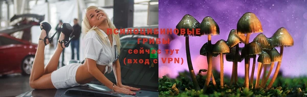 эйфоретик Алзамай